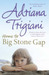 Home To Big Stone Gap (Paperback)