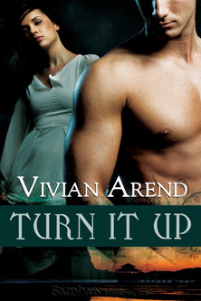 Turn It Up (Turner Twins, #2)