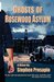 Ghosts of Rosewood Asylum by Stephen Prosapio