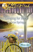 Longing for Home (Mirror La...
