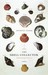The Shell Collector: Stories (Kindle Edition)