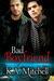 Bad Boyfriend (Bad in Baltimore, #2)