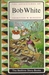 The Adventures of Bob White (Hardcover)