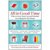 All In Good Time: When to Save, Stock Up, and Schedule Everything for Your Home (Paperback)
