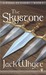 The Skystone (A Dream of Eagles, #1)
