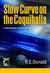 Slow Curve on the Coquihalla (A Hunter Rayne highway mystery, #1)