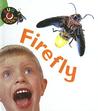 Firefly (Bug Books (Sagebrush))
