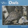 Owls