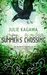 Summer's Crossing (Iron Fey, #3.5)