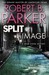 Split Image (Jesse Stone, #9)