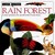 Rain Forest (Hardcover)