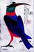 The 10pm Question (Paperback)
