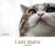 I Am Maru (ebook)