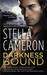 Darkness Bound (Chimney Rock #1)