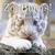 ZooBorns!: Zoo Babies from Around the World (ebook)