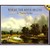 Where the River Begins (Hardcover)