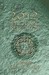 2012 the Final Revelation by Lisa J Flaus