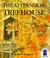 The Afternoon Treehouse