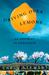 Driving Over Lemons: An Optimist in Andalucia (Hardcover)
