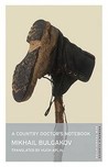 A Young Doctor's Notebook