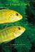The Cichlid Fishes: Nature'...