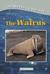 The Walrus