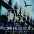 The Confession (Inspector Ian Rutledge, #14)