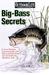 Big-Bass Secrets: Catch Tro...