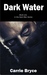 Dark Water (Dark Man Trilog...