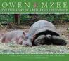 Owen and Mzee by Craig Hatkoff Owen and Mzee by Craig Hatkoff