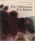 The Unfortunates (Hardcover)