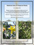 Medicinal Uses of Chaparral...