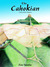 The Cahokian (Kindle Edition)