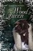 The Wood Queen (The Iron Witch, #2)
