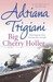 Big Cherry Holler (Big Stone Gap, #2)