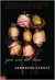 You Are Not Here (Kindle Edition)