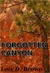 Forgotten Canyon