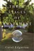 Three Stages of Amazement (Kindle Edition)