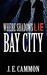 Bay City by J.E. Cammon Bay City by J.E. Cammon