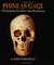 Phineas Gage: A Gruesome but True Story About Brain Science (Kindle Edition)