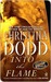 Into the Flame (Darkness Chosen, #4)