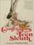 Confessions of a Teen Sleuth (Kindle Edition)