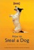 How to Steal a Dog (Kindle Edition)