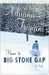 Home to Big Stone Gap (Kindle Edition)