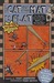 The Cat on the Mat Is Flat (Kindle Edition)