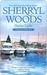 Harbor Lights (Chesapeake Shores, #3)