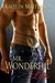 Mr. Wonderful Lies (Kindle Edition)