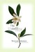The Untelling (Kindle Edition)