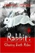 Rabbit: Chasing Beth Rider (Kindle Edition)