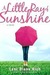 A Little Ray of Sunshine (Kindle Edition)
